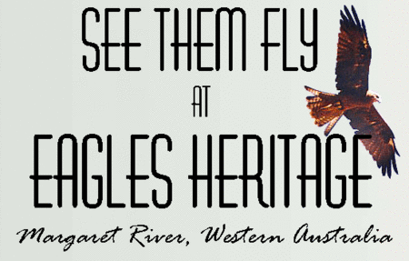 Eagles Heritage Raptor Wildlife Centre - Tourism Guide