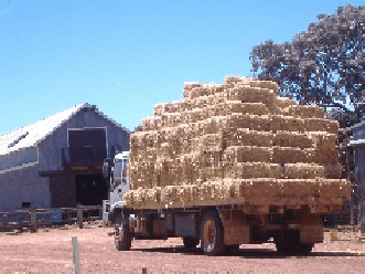 Avondale Discovery Farm - Tourism Guide 1