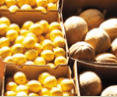 Brisbane Markets - Cruises Travel