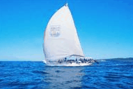 Manly Harbour Village - Tourism Guide 0