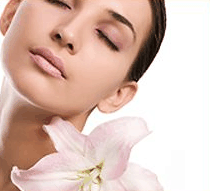 Stephanies Spa Retreat - Tourism Guide