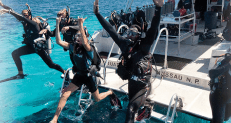 Snorkel Safari Brisbane - Cruises Travel