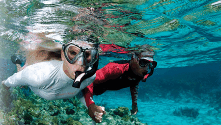 Snorkel Safari Brisbane - Cruises Travel 1