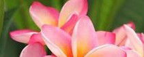 Richmond Wellness Centre - Tourism Guide 3