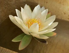 Orchid Day Spa - Tourism Guide 2