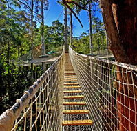 Thunderbird Park - Tourism Guide