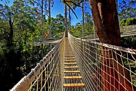 Thunderbird Park - Tourism Guide 0