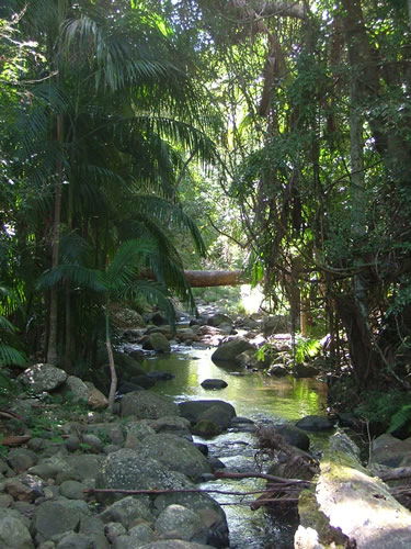Thunderbird Park - Tourism Guide 2