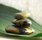 The Nature of Balance - Tourism Guide