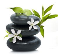 Tea House Spa Sauna - Tourism Guide