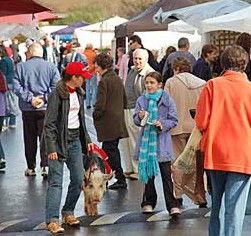 Arts Nunawading Inc - Tourism Guide 0