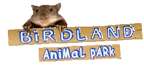 Birdland Animal Park - Tourism Guide
