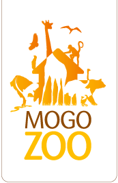 Mogo Zoo - Tourism Guide