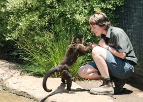 National Zoo & Aquarium - Cruises Travel 1