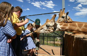 National Zoo & Aquarium - Cruises Travel 2