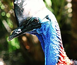 Alma Park Zoo - Cruises Travel 0