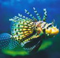 Underwater World - Tourism Guide