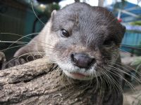 Underwater World - Cruises Travel 1