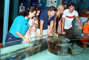 Underwater World - Cruises Travel 3