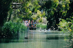 Cleland Wildlife Park - Tourism Guide 1