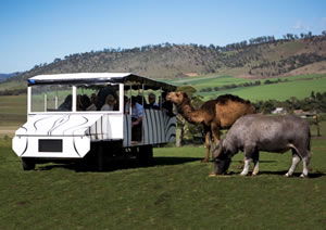 Zoo Doo Wildlife Park - Tourism Guide 2