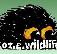 OZe Wildlife - Tourism Guide