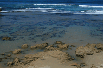 Braddon ACT Tourism Guide