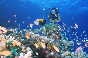  Tourism Guide