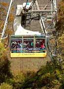Scenic World Blue Mountains - Travel Agents 1
