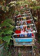 Scenic World Blue Mountains - Travel Agents 2