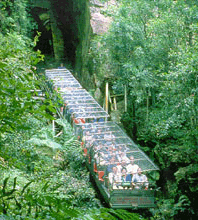 Scenic World Blue Mountains - Travel Agents 3