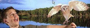 Territory Wildlife Park - Tourism Guide 2