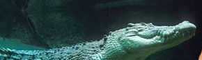 Territory Wildlife Park - Tourism Guide 3