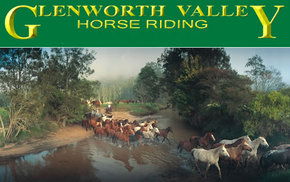 Peats Ridge NSW Tourism Guide