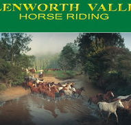 Glenworth Valley Horseriding - Tourism Guide