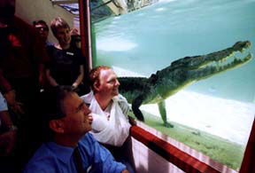 Alice Springs Reptile Centre - Tourism Guide 1