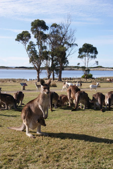 East Coast Natureworld - Cruises Travel 1