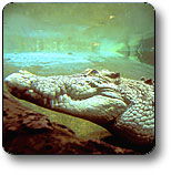 Kakadu National Park - Tourism Guide 1