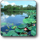 Kakadu National Park - Tourism Guide 3