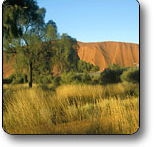Uluru - Kata Tjuta National Park - Tourism Guide