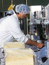 Allansford Cheese World - Tourism Guide 1
