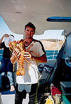 Temptation Sailing - Cruises Travel 3