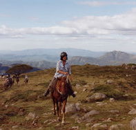 High Country Horses - Tourism Guide