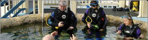Scuba World - Cruises Travel 2