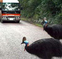 Kookaburra Tours - Tourism Guide
