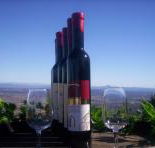 Mount Tamborine Winery  Homestead - Tourism Guide