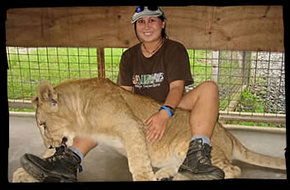 Cairns Wildlife Safari Reserve - Cruises Travel 1