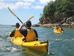 Sydney Harbour Kayaks - Travel Agents 1