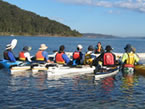 Sydney Harbour Kayaks - Travel Agents 2
