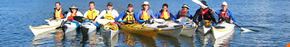 Sydney Harbour Kayaks - Travel Agents 3